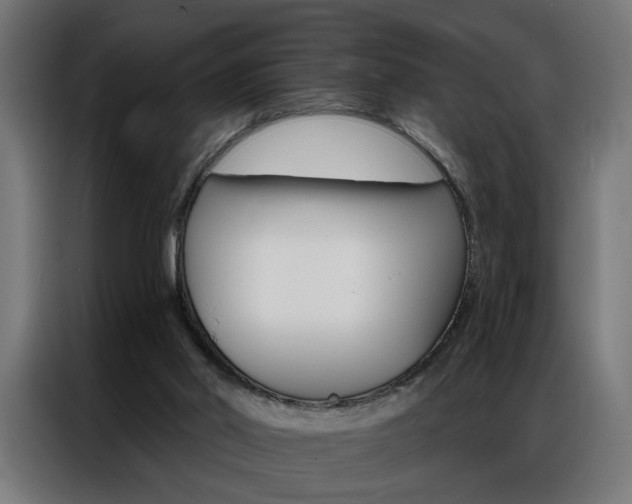 X0000086950014200704161107