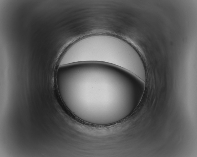 X0000086950015200704161107