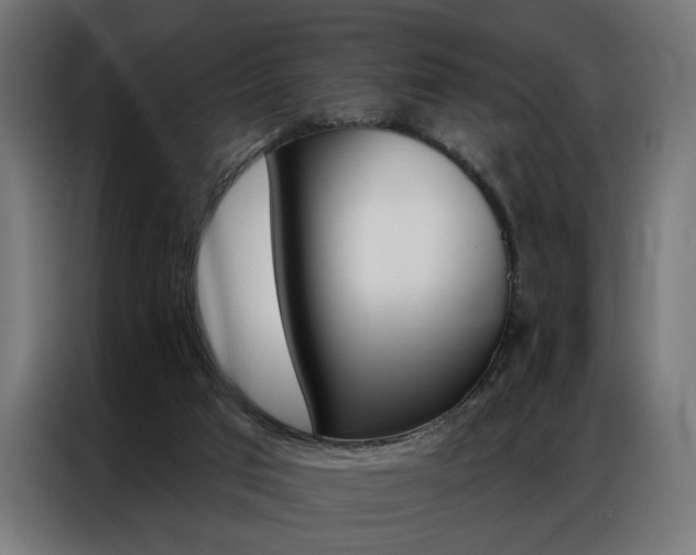 X0000086950017200704161107