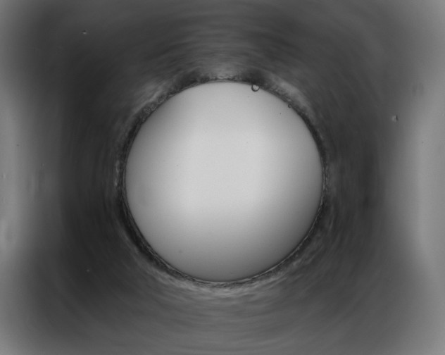 X0000086950018200704161107