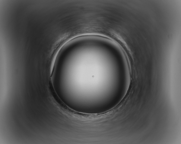 X0000086950019200704161107
