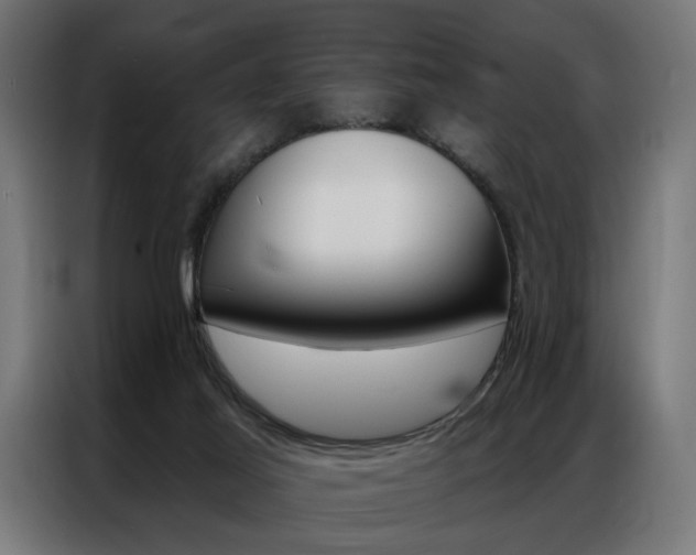 X0000086950021200704161107