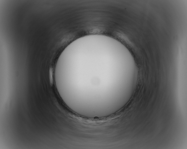 X0000086950022200704161107