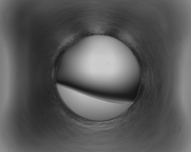 X0000086950023200704161107