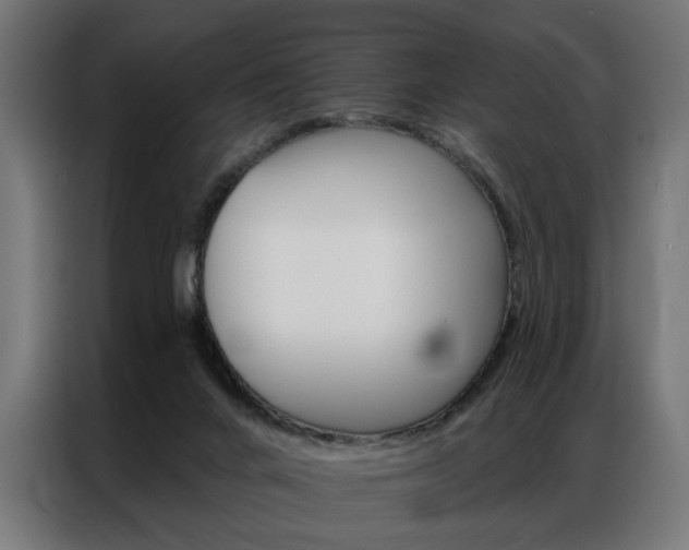 X0000086950024200704161107