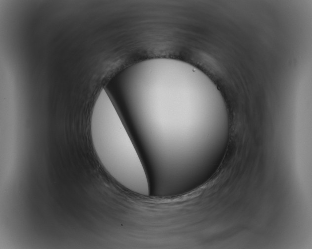 X0000086950025200704161107
