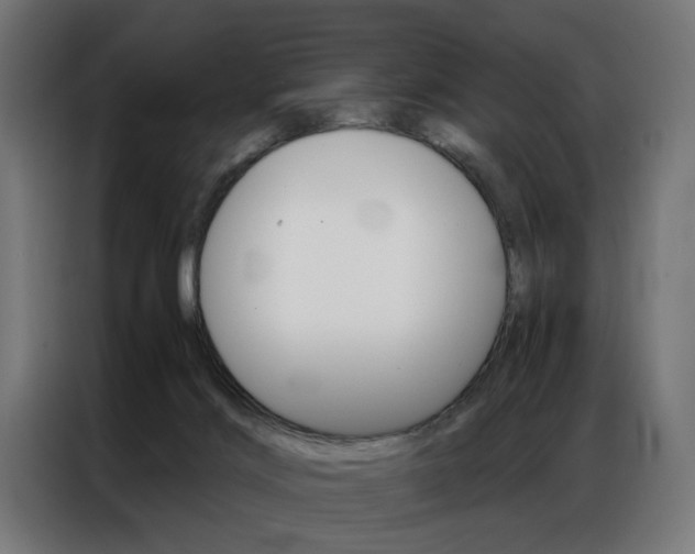 X0000086950028200704161107