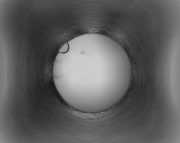 X0000086950030200704161107
