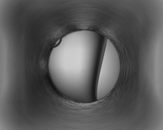 X0000086950031200704161107
