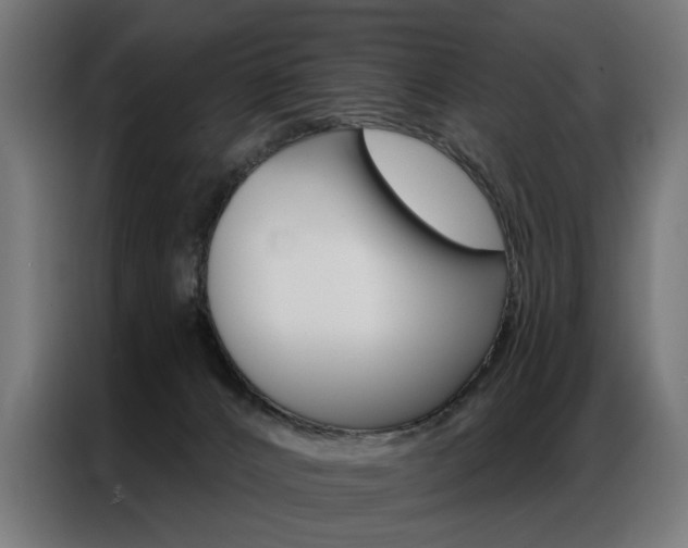 X0000086950032200704161107