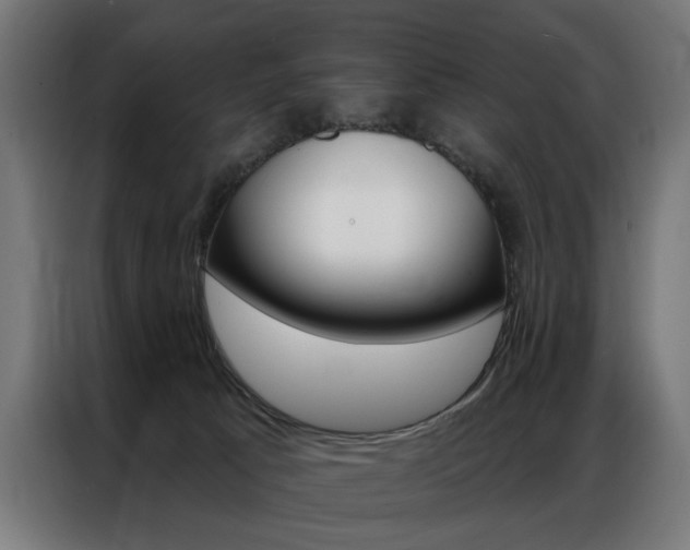 X0000086950033200704161107