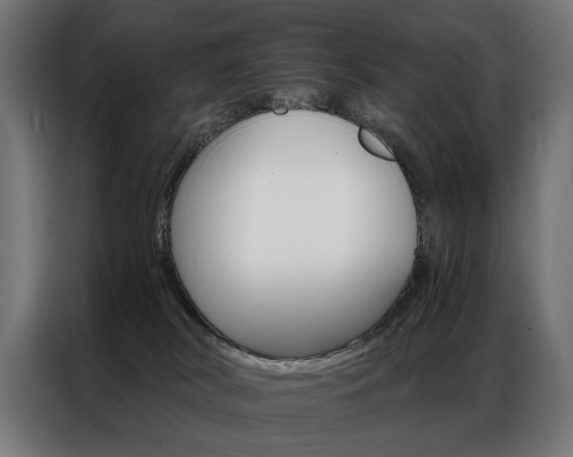 X0000086950038200704161107