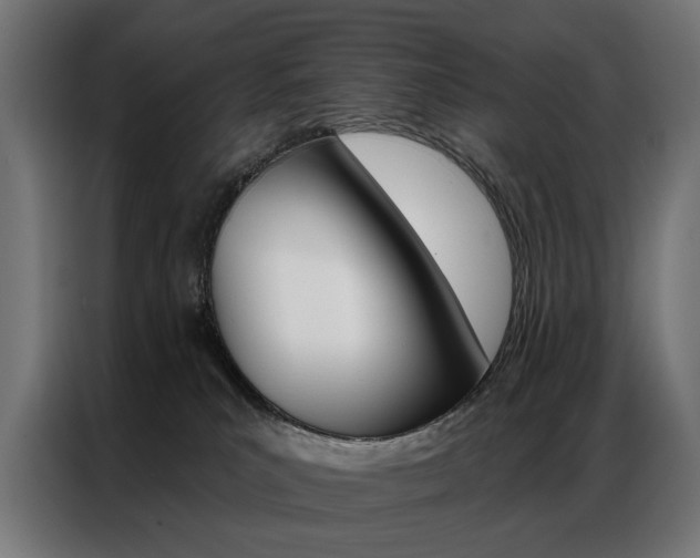 X0000086950039200704161107