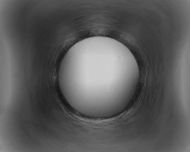 X0000086950040200704161107