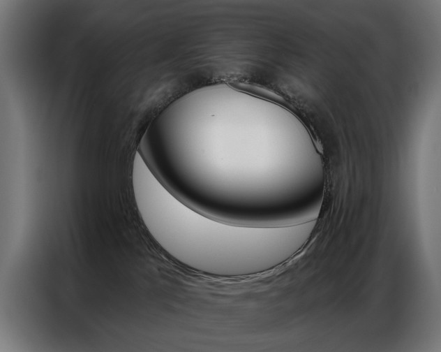 X0000086950041200704161107