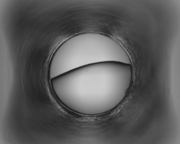 X0000086950049200704161106