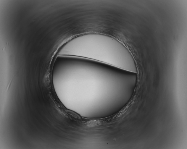 X0000086950050200704161106