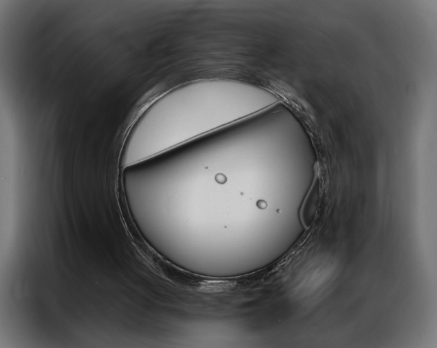 X0000086950051200704161106