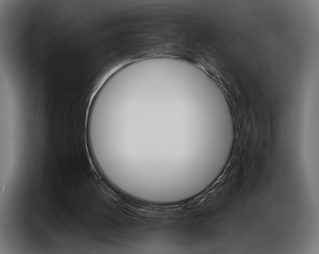 X0000086950052200704161106