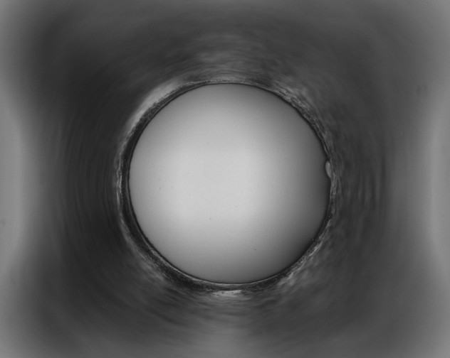 X0000086950054200704161106