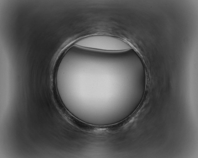 X0000086950055200704161106
