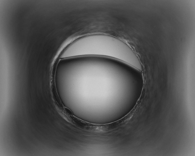 X0000086950056200704161106