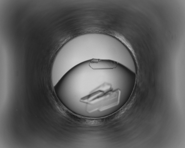 X0000086950057200704161106