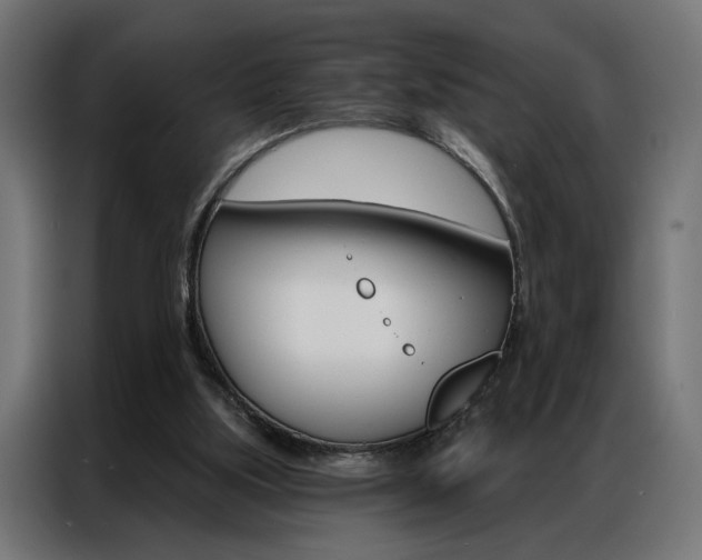 X0000086950059200704161106