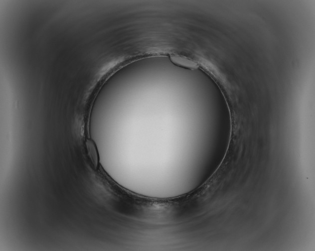 X0000086950060200704161106