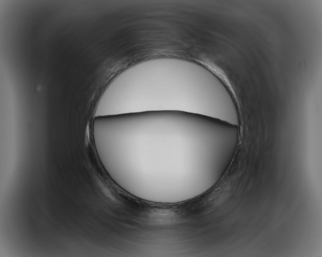 X0000086950061200704161106