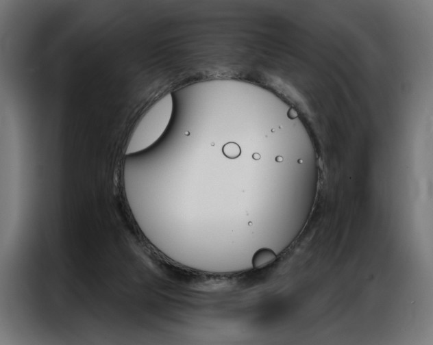 X0000086950065200704161106