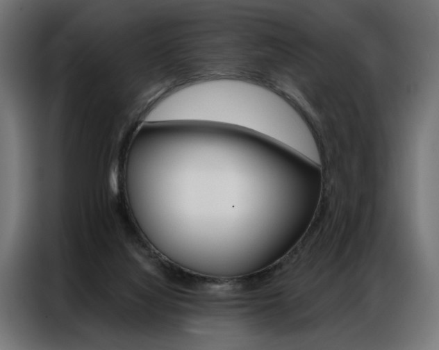 X0000086950068200704161106