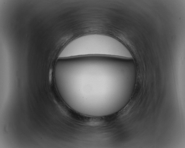X0000086950070200704161106
