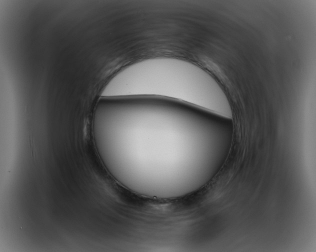 X0000086950071200704161106