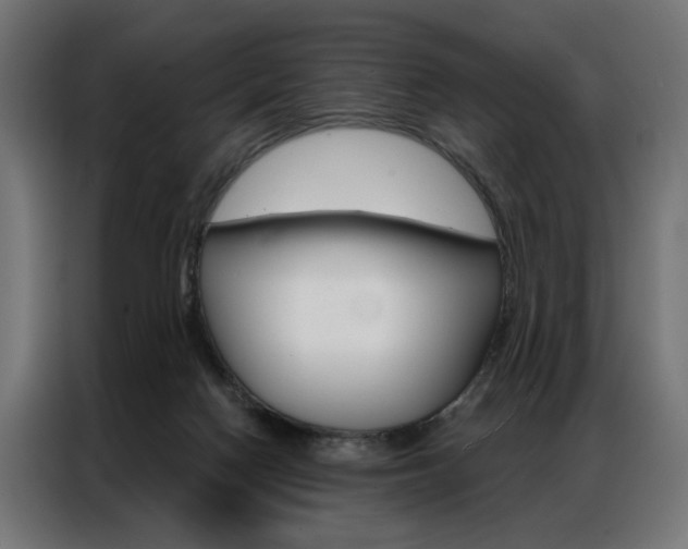 X0000086950074200704161106