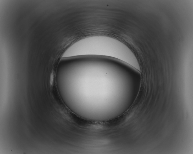 X0000086950076200704161106