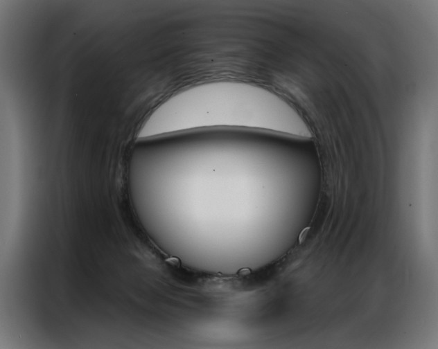 X0000086950077200704161106