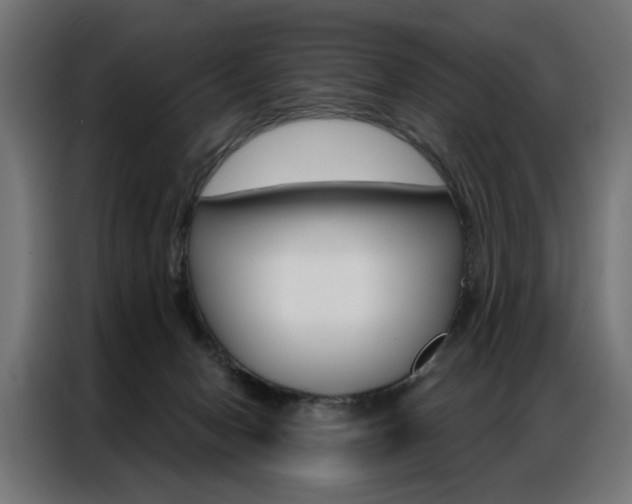 X0000086950078200704161106