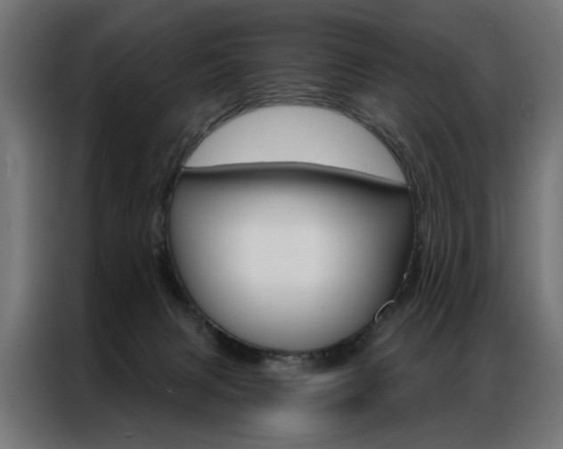 X0000086950079200704161106