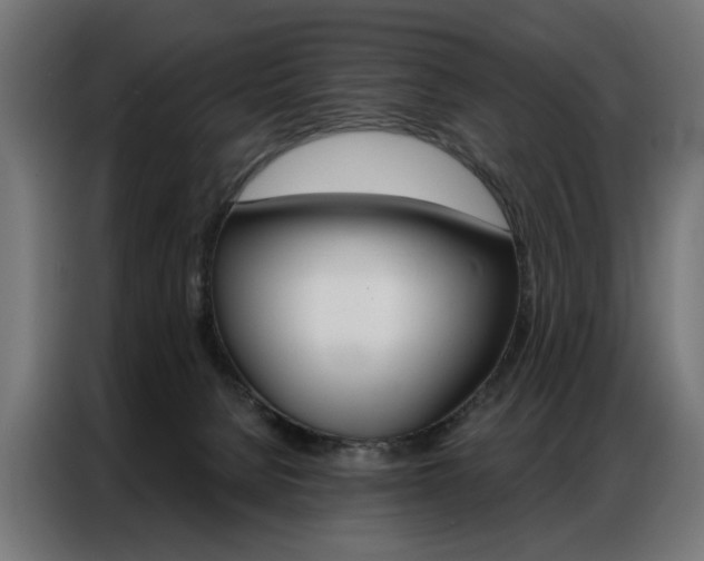 X0000086950080200704161106
