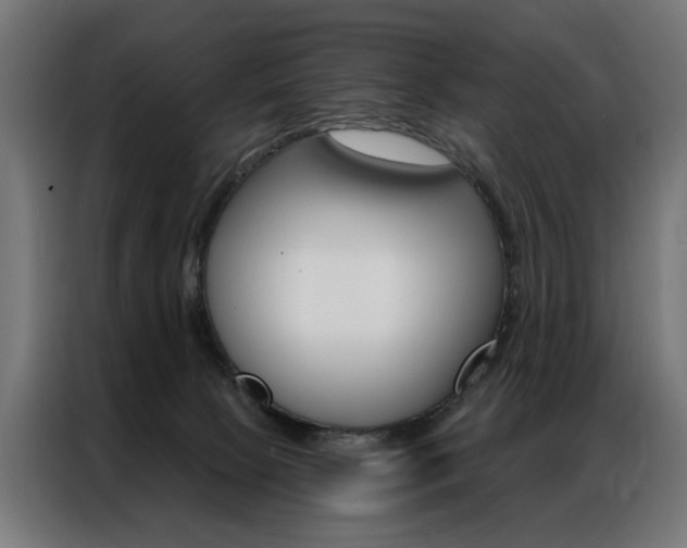X0000086950081200704161106
