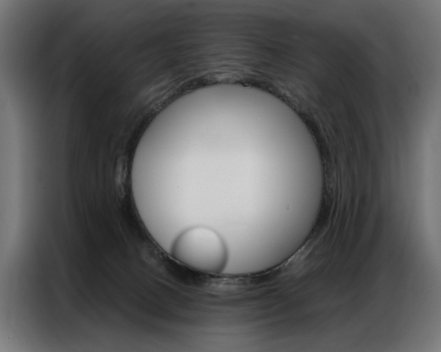 X0000086950082200704161106
