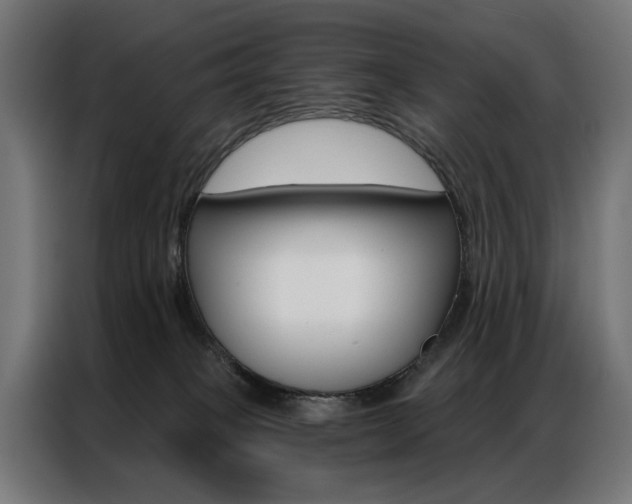X0000086950085200704161106