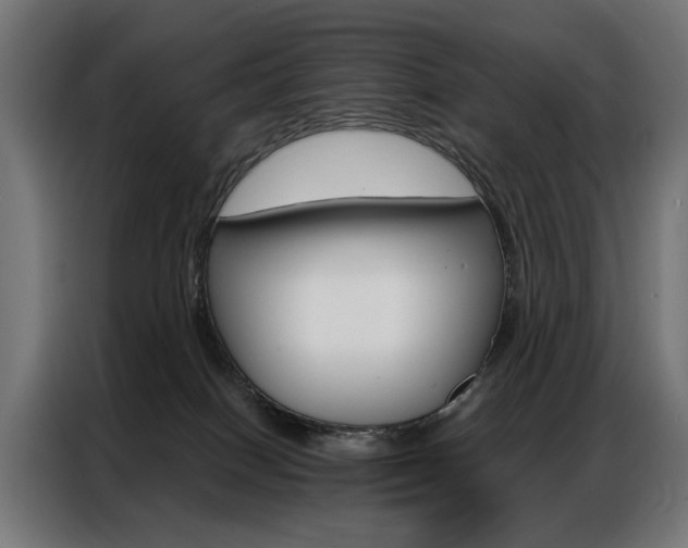 X0000086950086200704161106