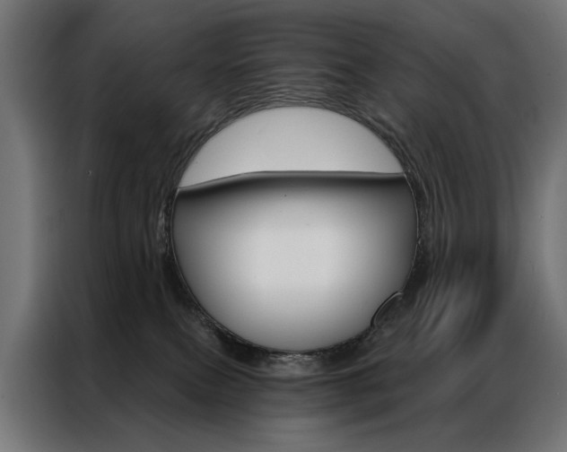 X0000086950087200704161106