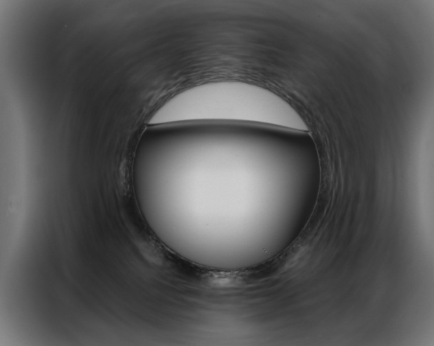 X0000086950088200704161106