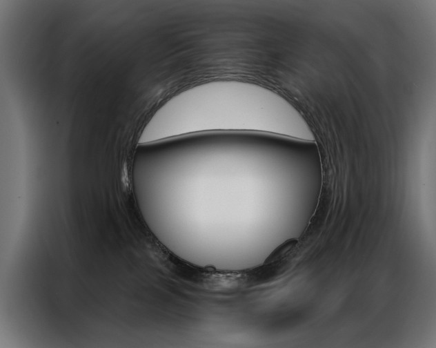 X0000086950089200704161106