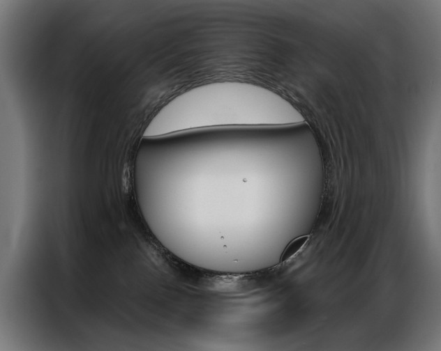 X0000086950090200704161106