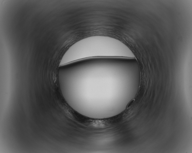 X0000086950091200704161106