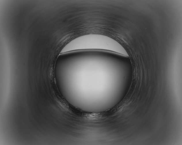 X0000086950092200704161106